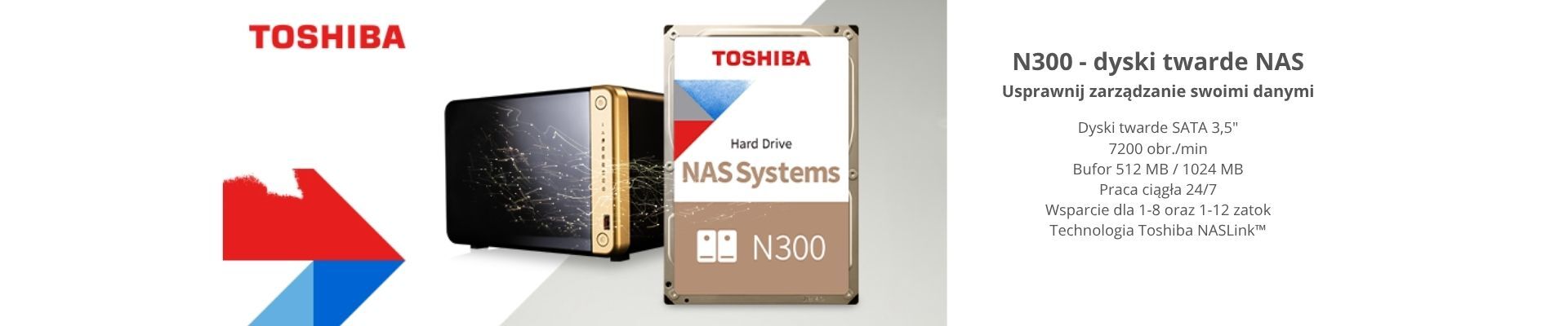 NAS N300 NAS N300