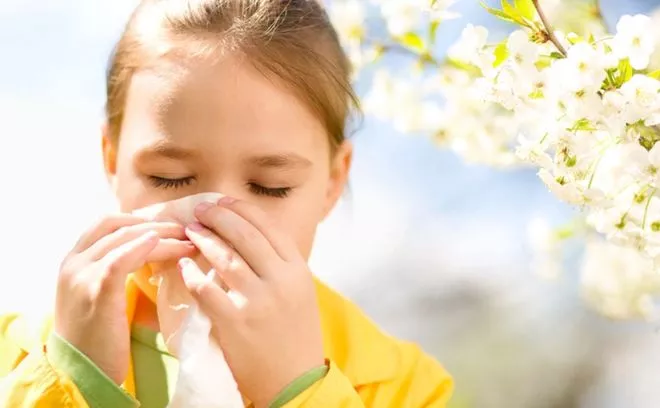 Jakie oczyszczacze powietrza dla alergików