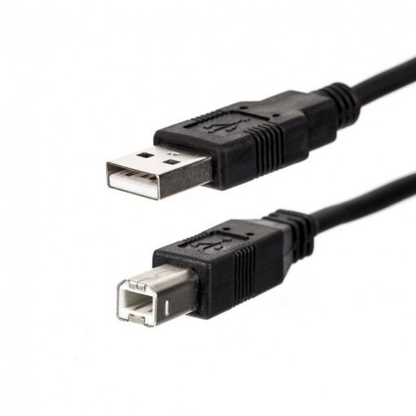 Zdjęcie produktu: Gembird kabel do drukarki AM-BM USB 2.0 4.5m CCP-USB2-AMBM-15