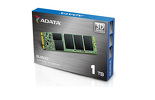 Miniatura zdjęcia: Dysk ADATA Ultimate SU800 SSD 1TB M.2 SATA 560/520MBs TLC 3D ASU800NS38-1TT-C