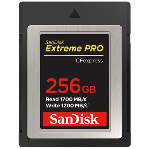Miniatura produktu: Karta SanDisk Extreme PRO CFexpress 256GB (1700/1200 MB/s) (SDCFE-256G-GN4NN)