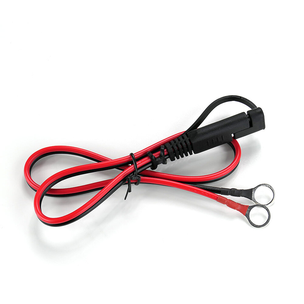 Ładowarka, prostownik automatyczny 12V / 24V everActive CBC-10 v2