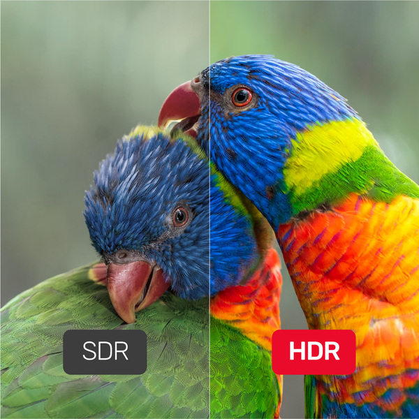 Zdjęcie produktu: Przewód DisplayPort M/M 1.4 8K@60Hz Unitek 3m (C1624BK-3M) Zdjęcie produktu: Przewód DisplayPort M/M 1.4 8K@60Hz Unitek 3m (C1624BK-3M)