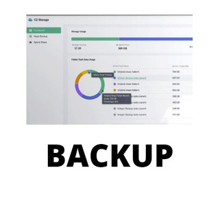 Miniatura produktu: Synology C2-BACKUP500G-1Y-EU