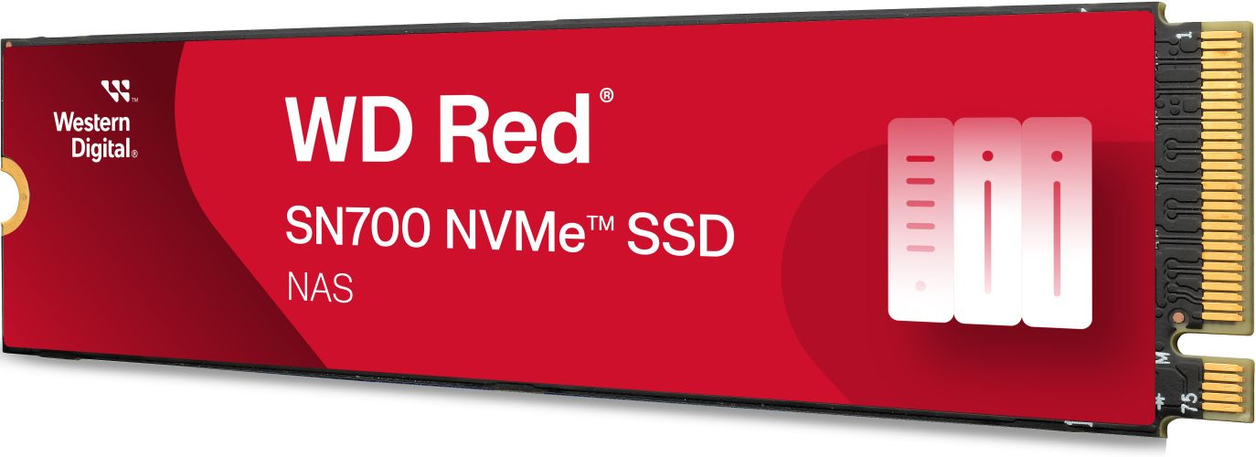 WD Red SN700 500GB (WDS500G1R0C)