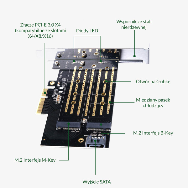 Zdjęcie produktu: Karta PCI-E ORICO na M.2 NVMe i M.2 SATA (PDM2-BP) Zdjęcie produktu: Karta PCI-E ORICO na M.2 NVMe i M.2 SATA (PDM2-BP)