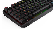 Miniatura zdjęcia: Endorfy Thock TKL Kailh Blue RGB
