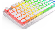 Miniatura zdjęcia: Endorfy Thock TKL OWH Pudding Kailh Brown RGB Miniatura zdjęcia: Endorfy Thock TKL OWH Pudding Kailh Brown RGB