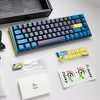 Miniatura zdjęcia: Ducky ONE 3 Daybreak SF MX-Blue RGB