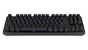 Miniatura zdjęcia: Endorfy Thock Wireless TKL Kailh Red EY5A080 Miniatura zdjęcia: Endorfy Thock Wireless TKL Kailh Red EY5A080