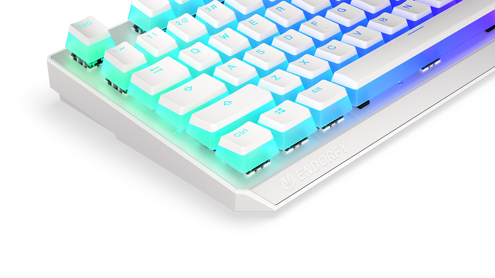 Endorfy Thock Wireless Pudding Onyx White