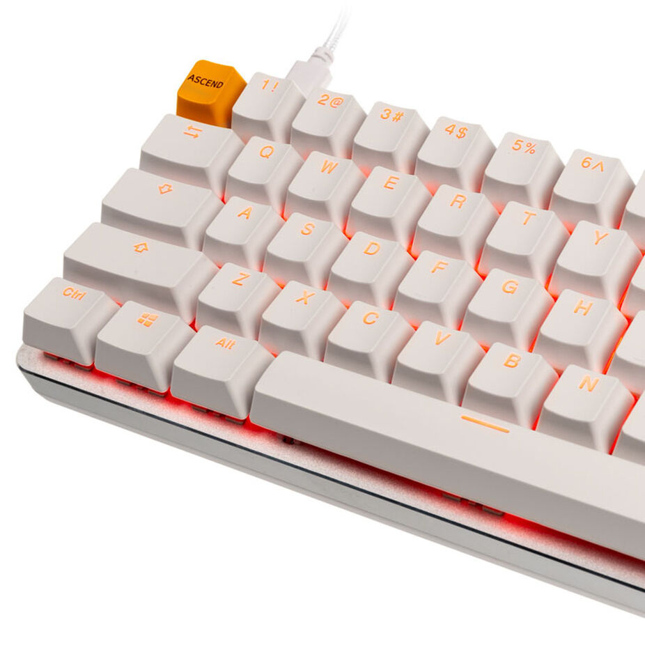 Glorious GMMK Compact White Ice Edition, Gateron-Brown, Layout US Glorious GMMK Compact White Ice Edition, Gateron-Brown, Layout US