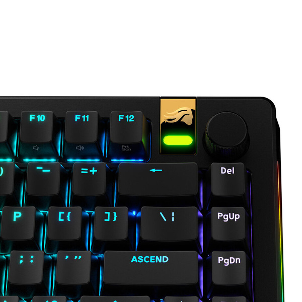 Zdjęcie produktu: Glorious GPBT Backlit Keycaps, ANSI Layout (US), PBT, Dye-Sub Black