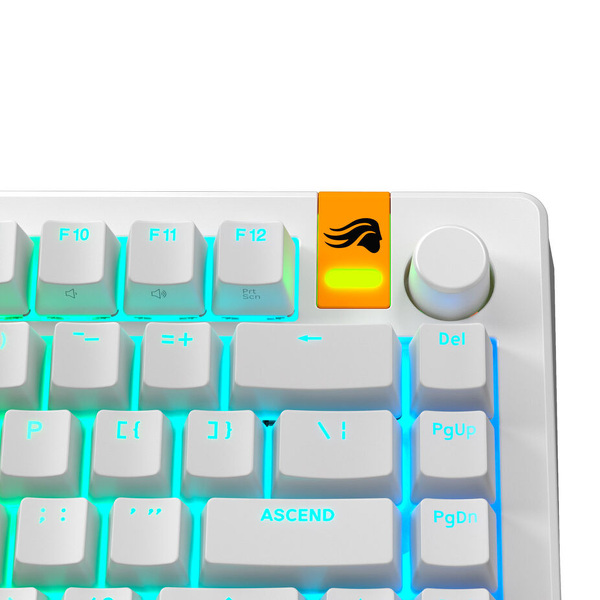 Zdjęcie produktu: Glorious GPBT Backlit Keycaps, ANSI Layout (US), PBT, Dye-Sub White