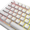 Miniatura zdjęcia: Glorious GPBT Backlit Keycaps, ANSI Layout (US), PBT, Dye-Sub White