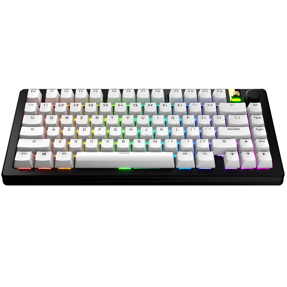 Glorious GPBT Basics Keycaps, ANSI Layout (US), PBT, Dye-Sub, Classic White