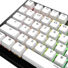 Miniatura zdjęcia: Glorious GPBT Basics Keycaps, ANSI Layout (US), PBT, Dye-Sub, Classic White
