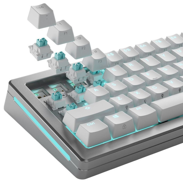 Zdjęcie produktu: Glorious Lynx HE Standard Switche, Efekt Halla, linear