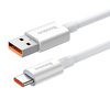 Miniatura zdjęcia: Kabel przewód USB Typ-C 2m Baseus Superior 100W biały