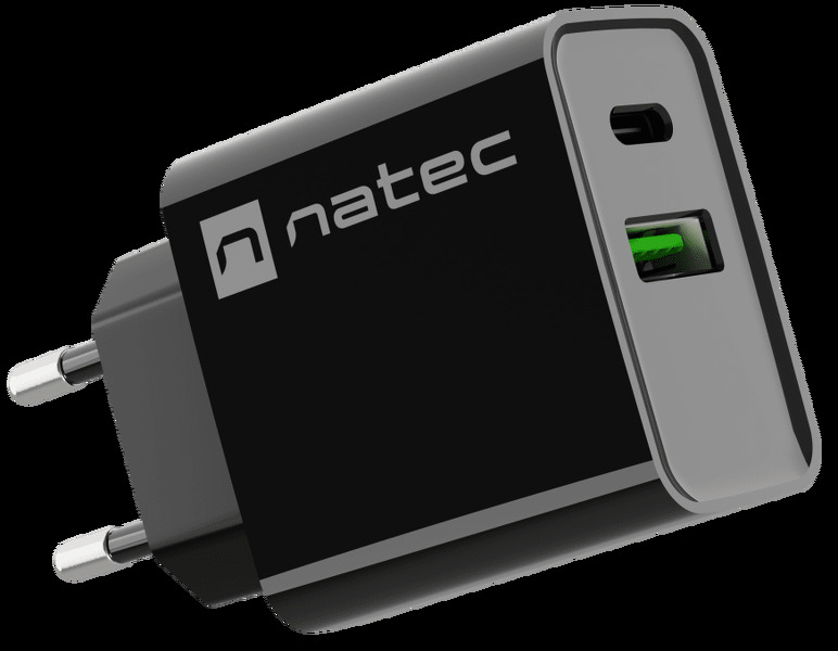 Zdjęcie produktu: Ładowarka sieciowa Natec Ribera GaN Slim 1x USB-A + 1x USB TYP-C 20W