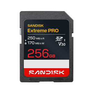 Miniatura produktu: Karta SanDisk Extreme PRO SDXC 256GB 250/170 MB/s C10 V30 UHS-I Miniatura produktu: Karta SanDisk Extreme PRO SDXC 256GB 250/170 MB/s C10 V30 UHS-I