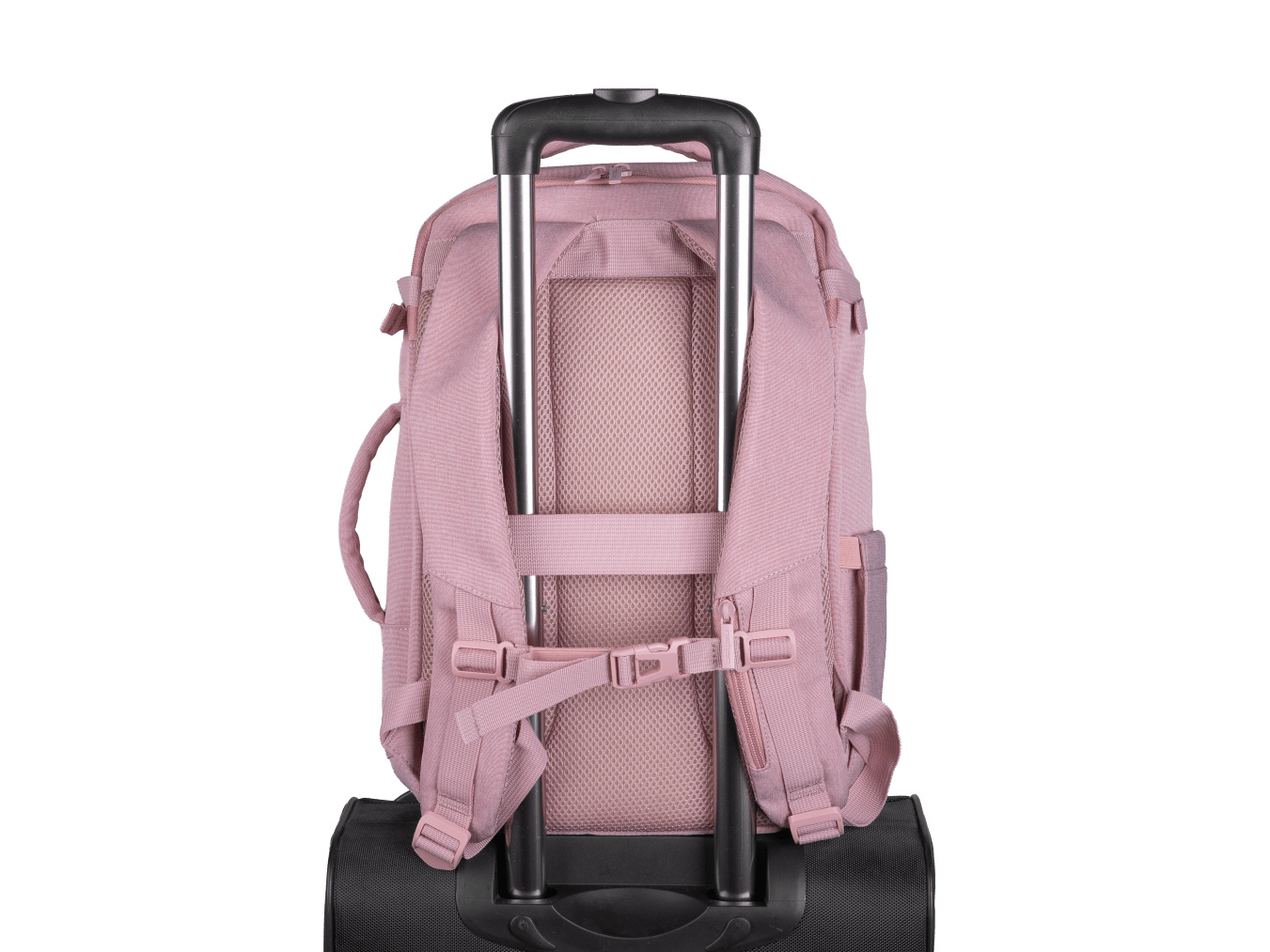 Natec Plecak do laptopa Camel Lite 15.6" 19 L różowy Natec Plecak do laptopa Camel Lite 15.6" 19 L różowy