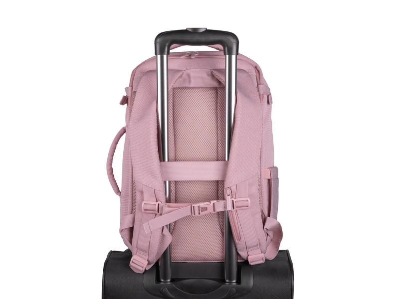 Zdjęcie produktu: Natec Plecak do laptopa Camel Lite 15.6" 19 L różowy Zdjęcie produktu: Natec Plecak do laptopa Camel Lite 15.6" 19 L różowy