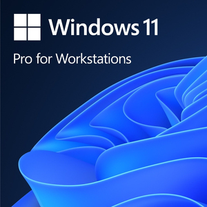 Miniatura produktu: Microsoft Windows 11 Pro for Workstations PL Miniatura produktu: Microsoft Windows 11 Pro for Workstations PL