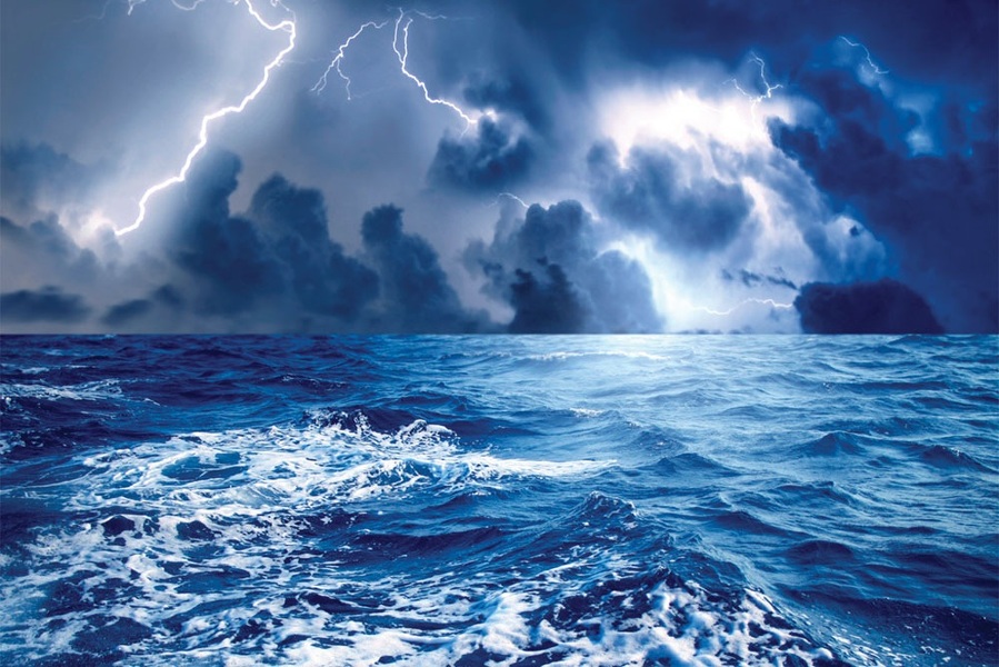 Zdjęcie produktu: Filtr Hoya Protector HD 40.5mm