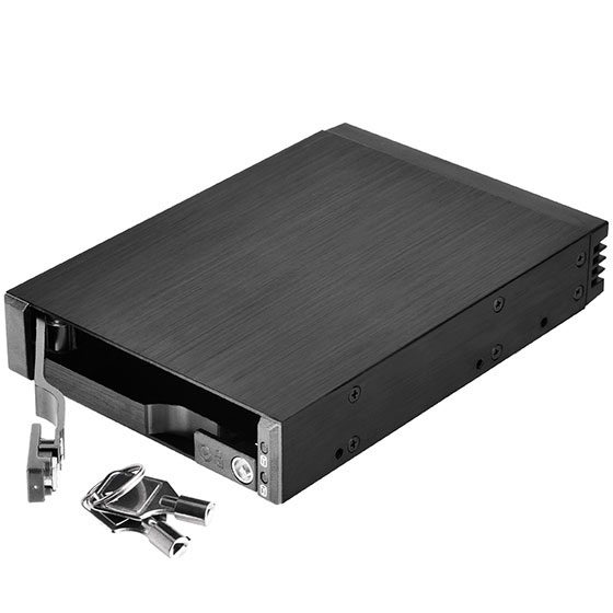 Silverstone FS202B zatoka 3.5" mieszcząca 2x 2.5" SAS/SATA 6.0 Gbit, trayless, hot-swap (SST-FS202B)