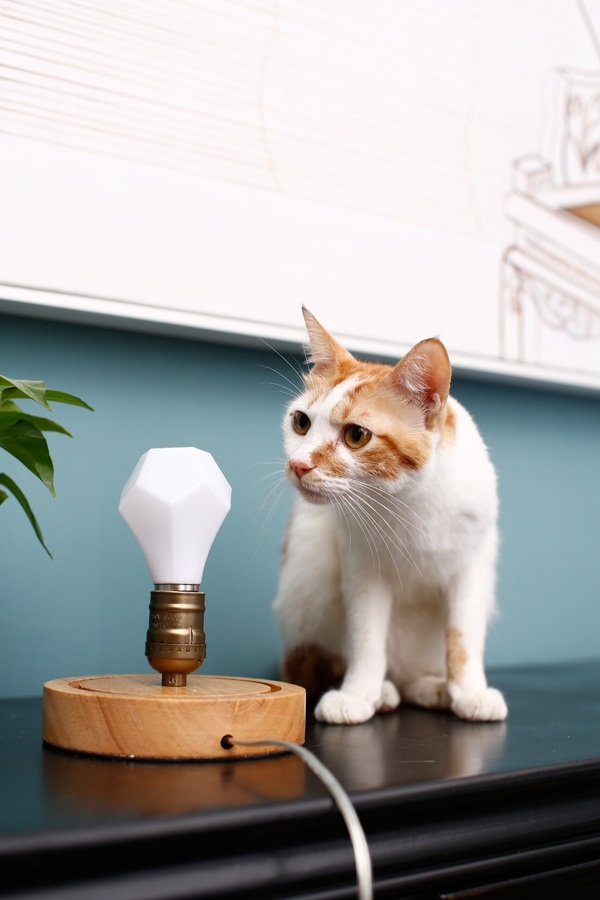 Zdjęcie produktu: nanoleaf Gem żarówka LED E27 z opcją przyciemniania 470 lumenów 2700K Zdjęcie produktu: nanoleaf Gem żarówka LED E27 z opcją przyciemniania 470 lumenów 2700K