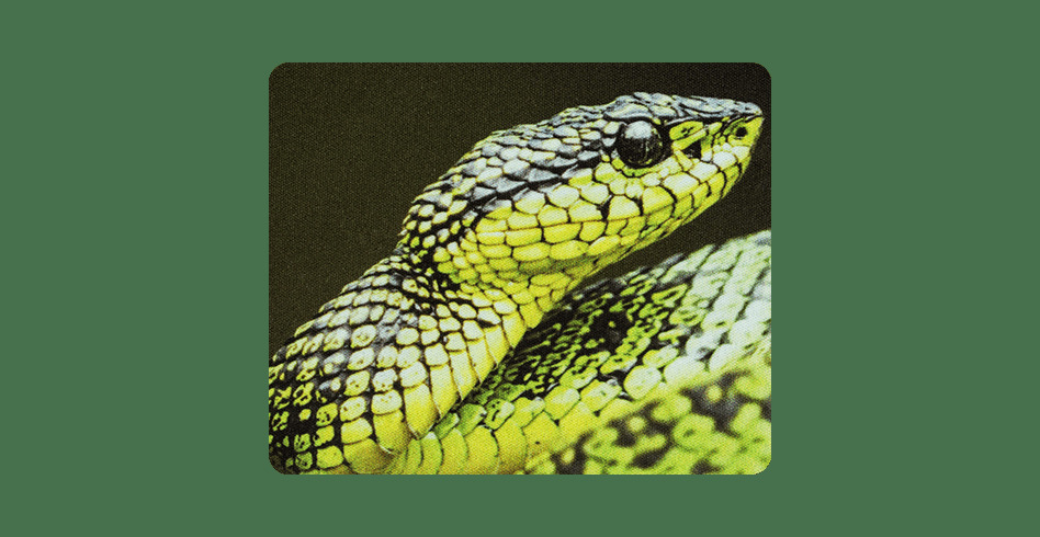 Z23087 3 Natec Printable