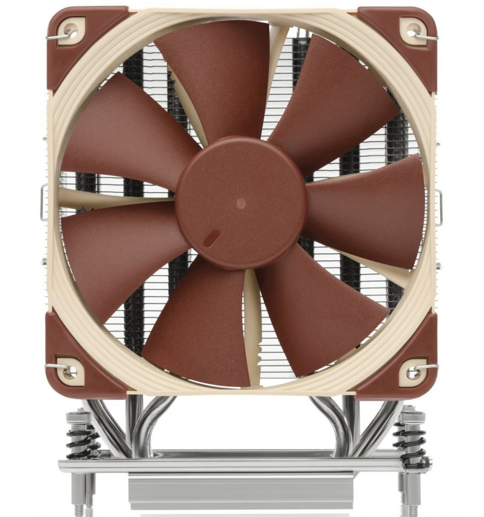 Noctua