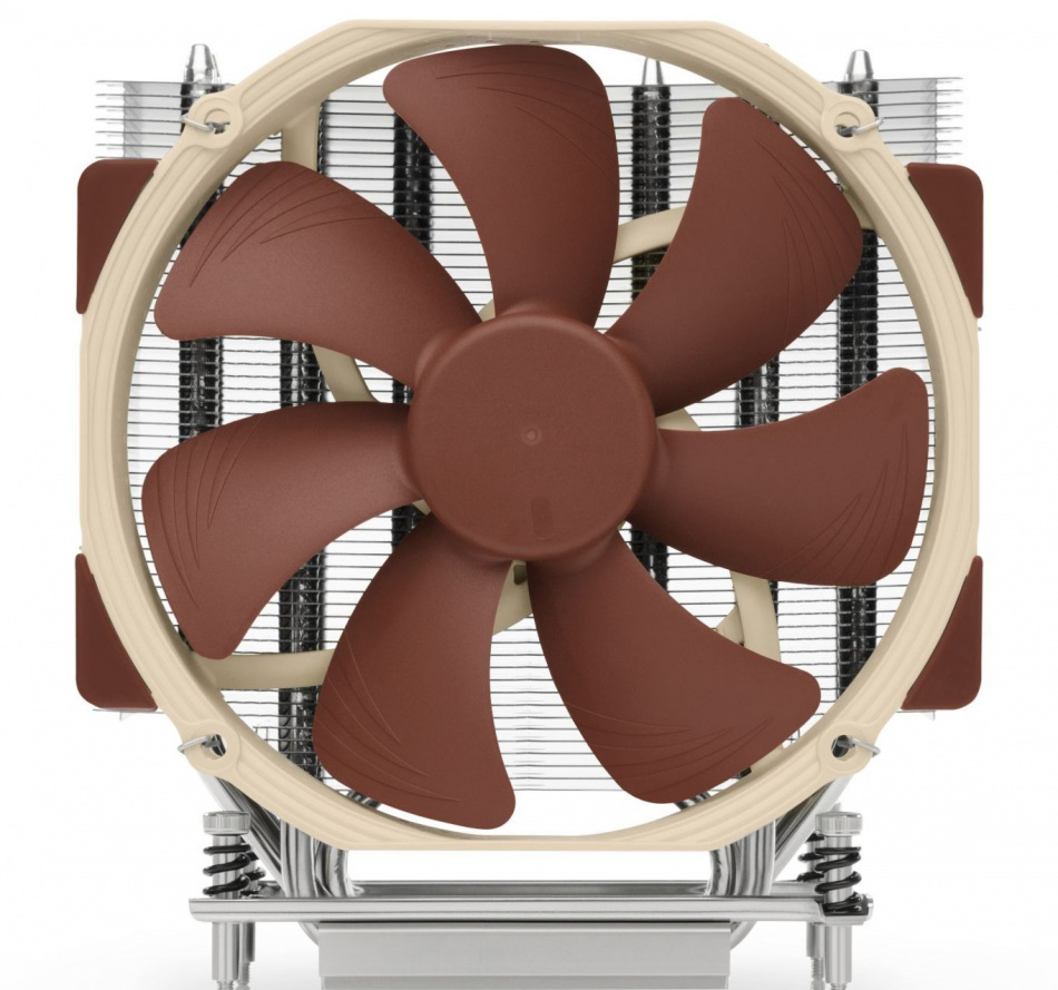 Noctua