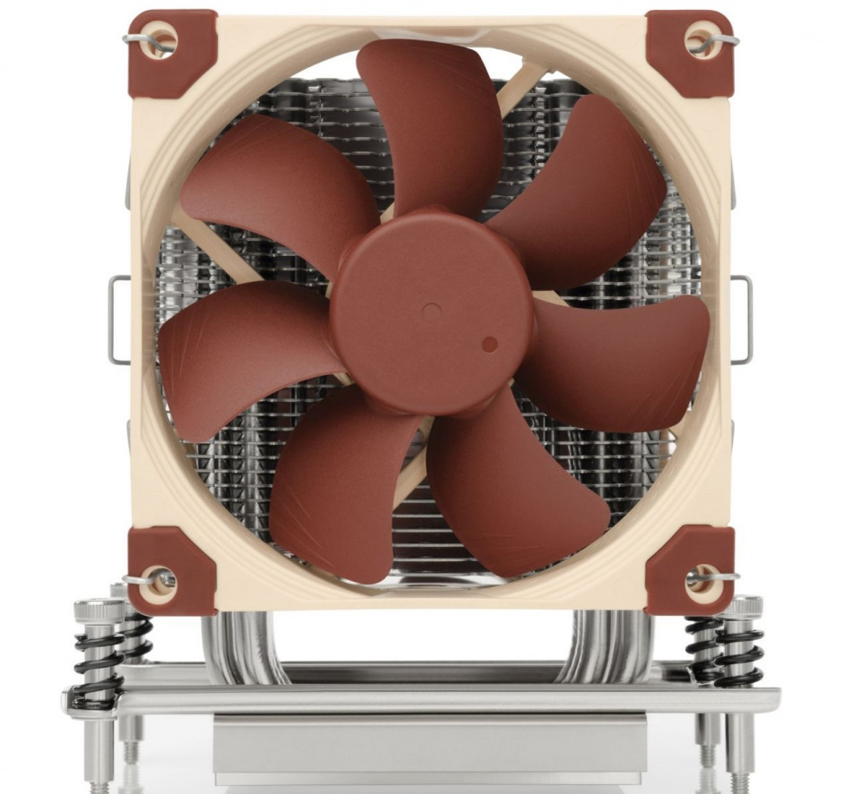 Noctua