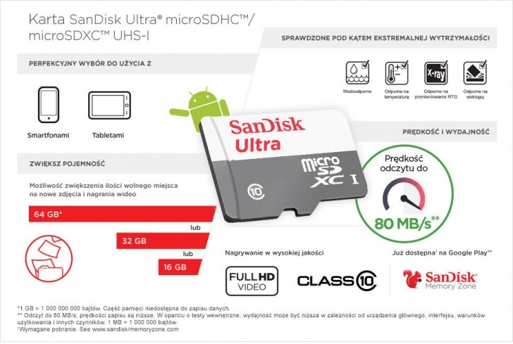 Sandisk Micro 80mb