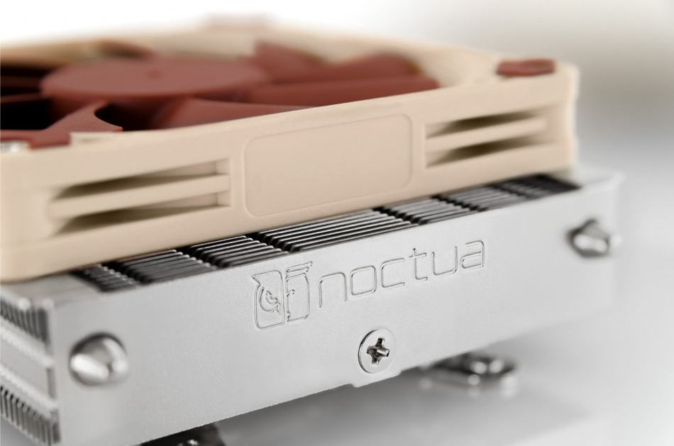 Noctua