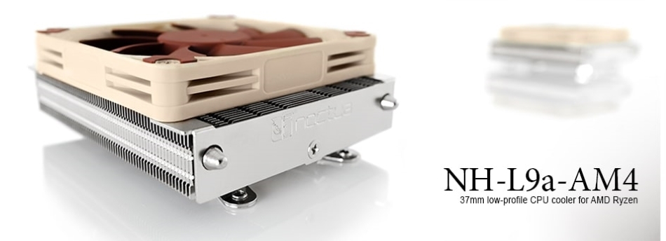 Noctua
