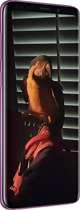Galaxy S9 Camera Lowlight Visual Purple