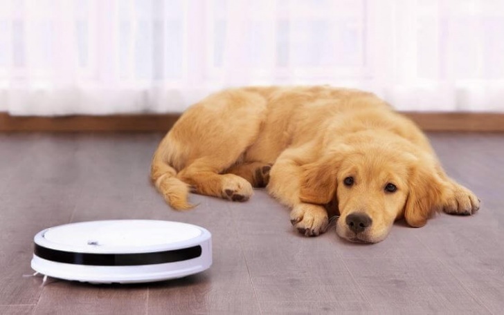 Bezprzeplacania Pl Xiaowa Budzetowy Robot Odkurzajacy Od Xiaomi W Swietnej Cenie Piesek