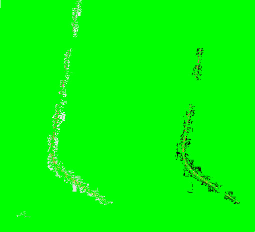 Spec 06 Rgb Wht Build Tempered Glass Gif1