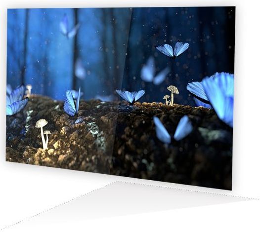 4671262 2018 08 01 12 12 35733030921