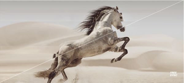 79a51d8b4f48d70c483a14416b0f1910