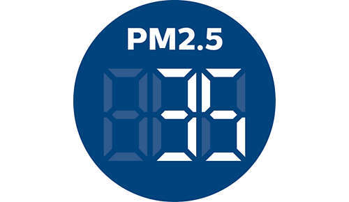 F400084317 Fil Global