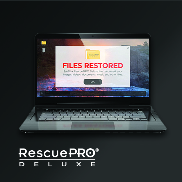 Sd Cf Express Card 512gb A B Featuremodule4