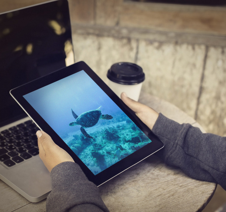 Real Time Transcoding