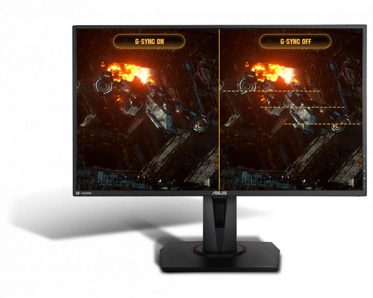 Section2 Img645634532312457234123