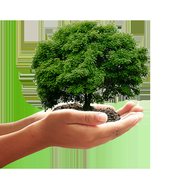 01 Ups Online Eco Mode 1