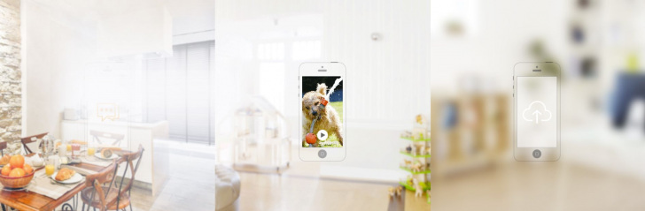 5921595 2019 05 20 07 30 06696406736