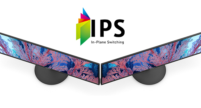 2377ff3e Db33 4b1b 973e Af9a6e593351 Cr0 0 650 350 Pt0 Sx650